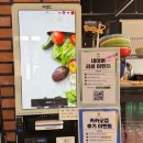 사림리 | [광주근교벚꽃] 구례 서시천 벚꽃 명소｜개화시기 만개 타이밍 이번주 추천🌸