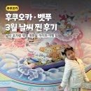펀하모니카(4월) | 3월 후쿠오카 벳푸 날씨 옷차림 벚꽃 아이와 여행 팁