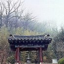 석곡 노루목 이미지