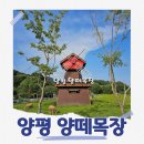 용문목장 이미지