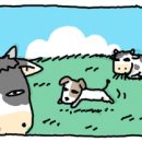 승수목장 Daum카페
