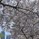 노정형외과의원 이미지