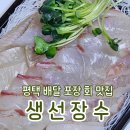 생선장수 | 평택 비전동 횟집 포장 배달 전문 맛집 생선장수 모듬회 후기