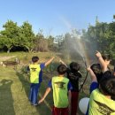 부산대 박사 태권도 이미지