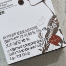 포레스트디바