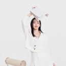 바쉬 이미지