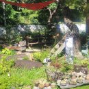 정관농장 이미지