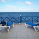 란사로테 이미지