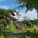 산청바이브 이미지