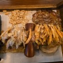 포닭스 이미지