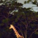 상미어린이공원 이미지