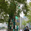 안양광장을위한사회적 이미지