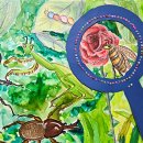 세밀화 그리기 | 양주 방문미술 l 관찰력을 키우는 세밀화 수업 후기