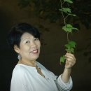 청 하우스 이미지