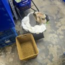 굿윌스토어밀알영종도점 이미지