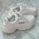 2111 | 디스커버리 조거플렉스 베이지 DXSH2111N-BES 운동화 내돈내산 후기