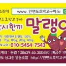 삼시한끼고구마 이미지