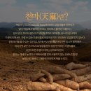 무주천마