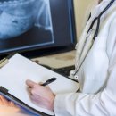 도곡 치유 동물병원 이미지