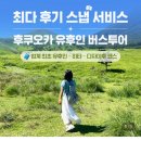 트래블린월드 | 또쿠오카 (액티비티 리스트)