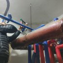 오소록스테이 이미지