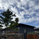 스테이모심 제주펜션 | 제주 애월 숙소 스테이모심, 아이랑 가기좋은 숙소 추천 드립니둥