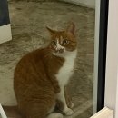 수산1구 | [일상, daily] 파워J의 제주 서쪽 여행(금토일월)