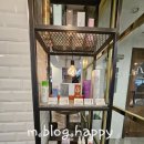 청담역미용실 상상모리헤어하우스청담점에서 시우쌤에게 두피 힐링 받았어요