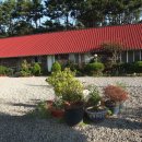 연육교민박 이미지