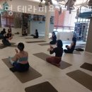 장수영테라피요가 | 광주 광산구 신가동 필라테스 장수영 테라피요가 기구필라테스 재활 체형교정 가격 위치 이벤트