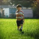 영화-미나리 이미지