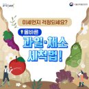 올바른과일