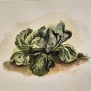 한참 | 한참만에 쓰는 타샤 투더 후기