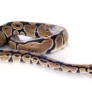 24시이스턴동물의료센터 이미지