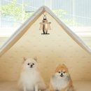 미담하우스 이미지