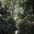 완도읍-9 | [완도/신흥사] 추석 템플스테이 후기｜다도해해상국립공원 정도리 구계등·완도타워_10/9