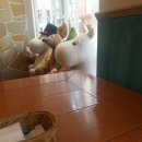 [대만 타이베이 4박 5일 자유여행] 넷째 날(화산 1914, 화풍옥, 삼형매 빙수, 시먼딩, 쩐쭈단, 용산사)