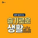 새생활슈퍼 티브이데일리