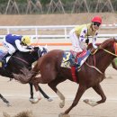 환호축산 - 미추홀구 석정로433번길 31 | 환호축산