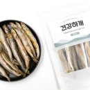 홍이삼이네 이미지