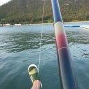 으뜸민박 이미지