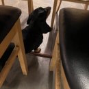 형도농장 이미지