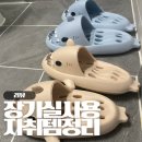 장기 | 장기 실사용 후기, 내돈내산 자취템 살림템