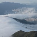 대지(大地)의 꿈 이미지