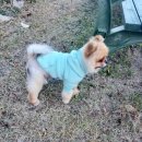 경주 수약국 이미지