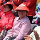 예천상설시장 이미지