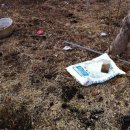 한빛농장 이미지