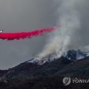 캘리포니아보이 이미지