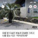 저지안트레 이미지