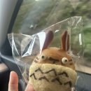 당진시 북문로 | 당진 아카렌가 베이커리 후기 | 당진 당일치기 빵집 추천